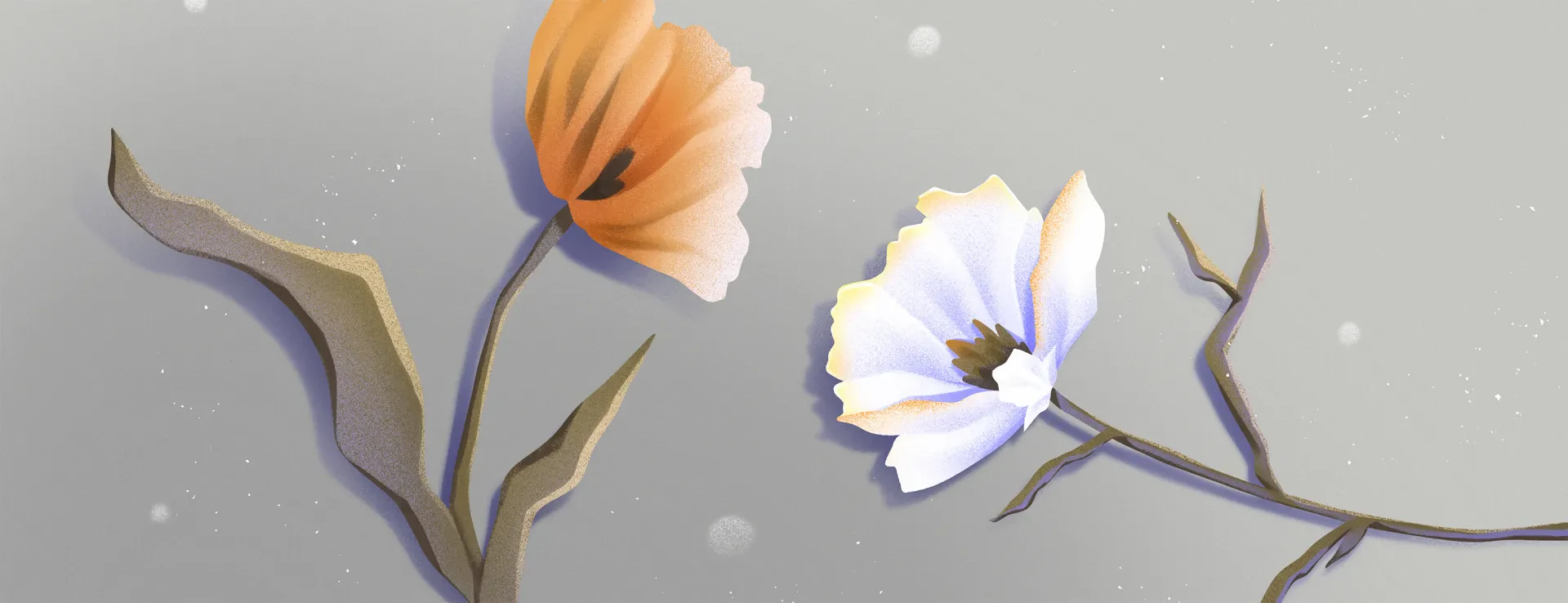 Main banner
