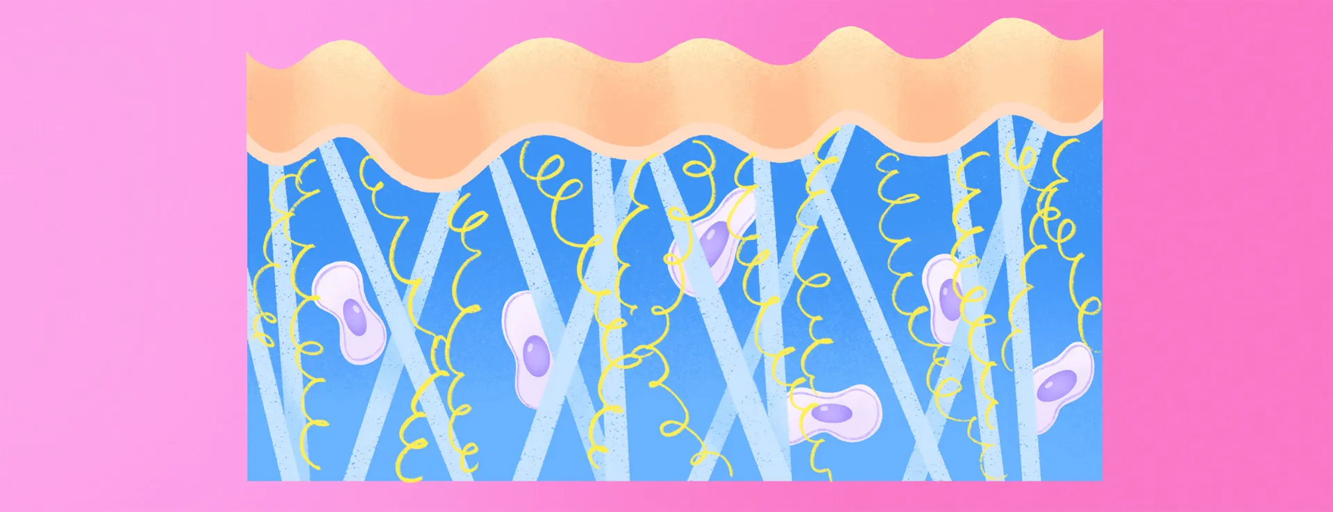 Main banner