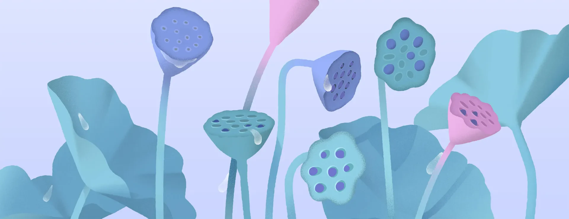 Main banner